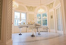 Glasflügel von Udo Jürgens wird versteigert - Rolf Vennenbernd/dpa