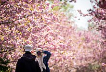 Eine Frau fotografiert einen Mann - Foto: Kay Nietfeld/dpa/dpa-tmn