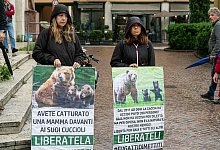 Italien: Entscheidung &uuml;ber Abschussbefehl f&uuml;r B&auml;rin JJ4 vertagt - Enrico Pretto/LaPresse via ZUMA Press/dpa