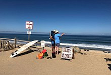 Hai-Attacken - Susan Haigh/ap/dpa