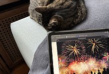 sa_katze-silvester - 1 - Thomas Reineke