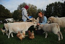 img_3592 - Katrin Kantelberg