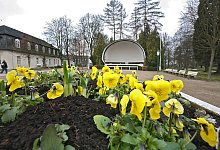 Musikmuschel Horn-Bad Meinberg - Cordula Gröne