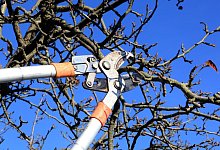 Fristen beachten - Foto: Nestor Bachmann/dpa-tmn/dpa