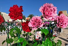 Vermisst - Sara Lemel/dpa