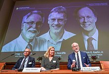 Nobelkomitee pr&auml;sentiert Medizin-Nobelpreistr&auml;ger - Foto: Zheng Huansong/XinHua/dpa