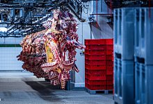 Schlachtbetrieb geschlossen - Jens B&uuml;ttner/dpa