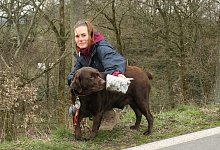 Hunde - Sylvia Frevert