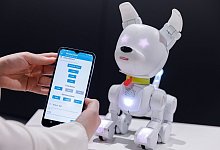 Spielwarenmesse N&uuml;rnberg - Daniel Karmann/dpa