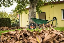 Garten im Herbst - Christin Klose/dpa-tmn