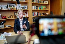 Live-Talk auf X mit Weidel und Musk - Kay Nietfeld/dpa-POOL/dpa