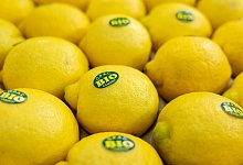 Biofach 2025 - Daniel Karmann/dpa