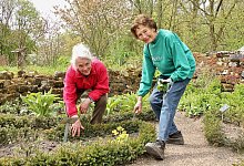 Kr&auml;utergarten - Heidi Stork
