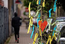 Maibaum in Köln - Henning Kaiser/dpa