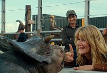 Der Film kommt Anfang Juni 2022 in die deutschen Kinos. - -/Universal Pictures/Amblin Entertainment/dpa