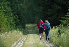 Wandern am Grünen Band - Klaus-Dietmar Gabbert/dpa-Zentralbild/dpa