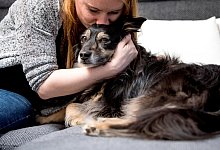 Eine Frau schmust mit einem Hund - Foto: Christin Klose/dpa-tmn