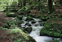 Tourismus - FOTO: OWL-MARKETING
