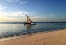 Ein Strand in Sansibar - Andrea Tapper/dpa-tmn
