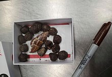 Giraffenkot - Uncredited/U.S. Customs and Border Protection/AP/dpa