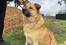 img_7872 - 1 - Sven Kienscherf