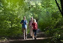 Wandern - Teutoburger Wald Tourismus / Staatsbad Salzuflen / A. Hub