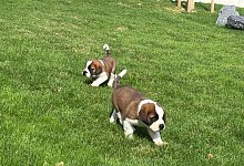 Eröffnung Barryland - Christiane Oelrich/dpa