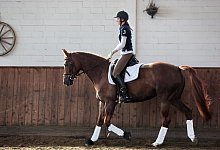 Eine Person aufrecht im Sattel - Bodo Marks/dpa-tmn