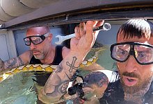 &laquo;Ich bin ein Star &ndash; Showdown der Dschungel-Dschungelcamp - Tag 13 - Tag 13/-/dpa