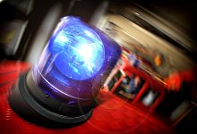 Tauben im Garten verbrannt - Symbolfoto: Sarah Jonek