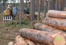 Baustelle Tesla-Werk - Foto: Patrick Pleul/dpa-Zentralbild/dpa