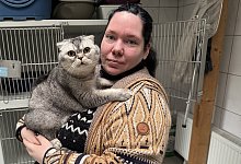 katze - 1 - Sven Kienscherf