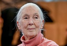 Jane Goodall - Markus Schreiber/AP/dpa