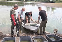 SL HBM Norderteich - Cordula Gr&ouml;ne