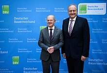 Festakt zu 75 Jahren Deutscher Bauernverband - Bernd von Jutrczenka/dpa