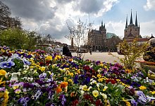 Buga - Foto: Michael Reichel/dpa