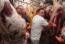 Schlachter - Jens Rademacher