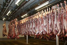 Rinderh&auml;lften in einem Schlachthof. - Symbolbild: Pixabay