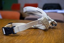 Hundehalterin vor Gericht - Sven Hoppe/dpa