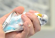 Immer vom R&uuml;cken her umgreifen - Foto: Caroline Seidel