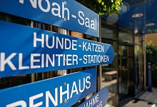 Tierheim - Daniel Karmann/dpa