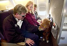 Tiere an Bord - Foto: Erik S. Lesser