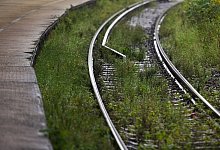 Gras zwischen Schienen - Foto: Arno Burgi