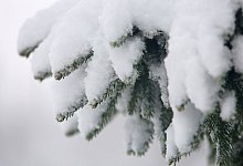 Schnee - Matthias Bein/dpa