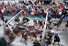 Lewis Hamilton - Tim Goode/PA Wire/dpa