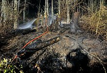 Waldbrand Tevenhausen - Feuerwehr Kalletal