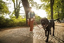 Frau geht mit ihrem Hund im Park spazieren - Christin Klose/dpa Themendienst/dpa-tmn
