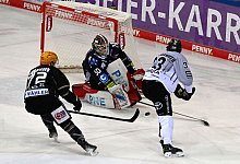 Pinguins Bremerhaven - K&ouml;lner Haie - Carmen Jaspersen/dpa