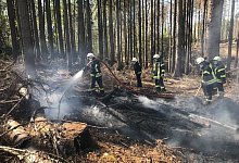Feuer im Wald - Feuerwehr Barntrup