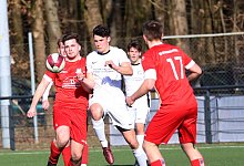 brakelsiek-diestelbruch - Paul Cohen